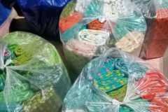 WhatsApp-Image-2024-05-20-at-9.26.10-PM-1